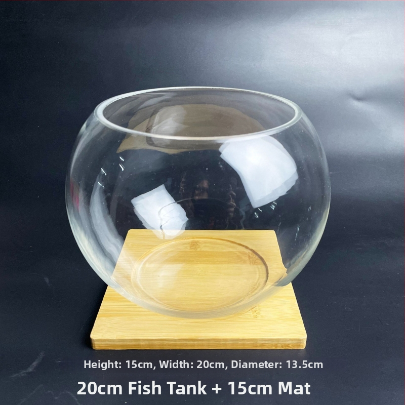 Stikla pudelīte ar sūnām, mikropeizējums ekoloģisks akvārijs zelta zivtiņām — apaļš atvērums dizains, sukulentu augi; Zīmols: Small Space Big World; Iepakojums: kartons; Parādīšana: uz virsmas