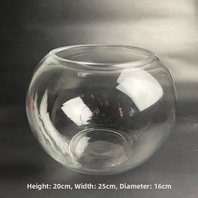 Stikla pudelīte ar sūnām, mikropeizējums ekoloģisks akvārijs zelta zivtiņām — apaļš atvērums dizains, sukulentu augi; Zīmols: Small Space Big World; Iepakojums: kartons; Parādīšana: uz virsmas