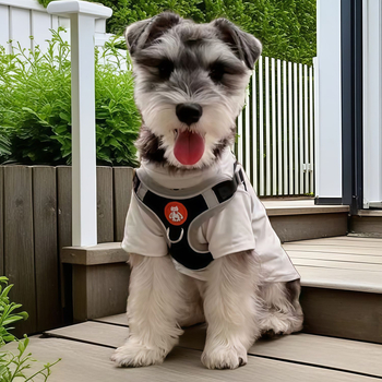 Schnauzer mellény-stílusú visszahúzható kutyapóráz