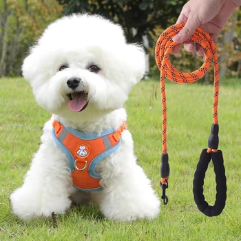 Schnauzer mellény-stílusú visszahúzható kutyapóráz