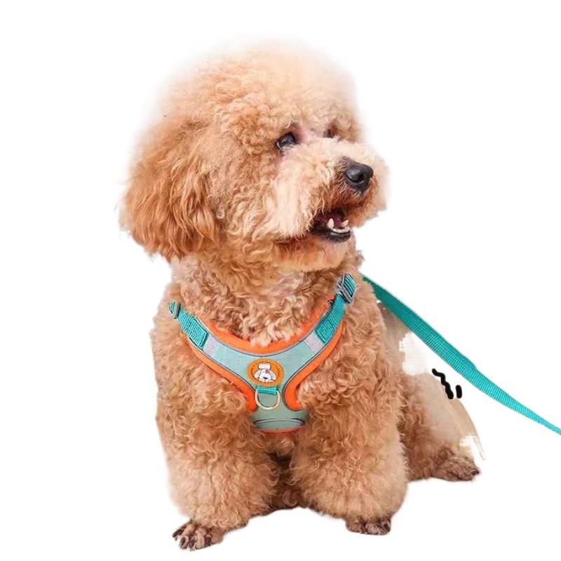 Schnauzer mellény-stílusú visszahúzható kutyapóráz