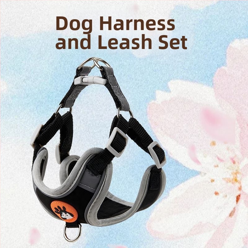 Schnauzer mellény-stílusú visszahúzható kutyapóráz