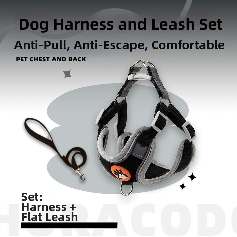 Schnauzer mellény-stílusú visszahúzható kutyapóráz