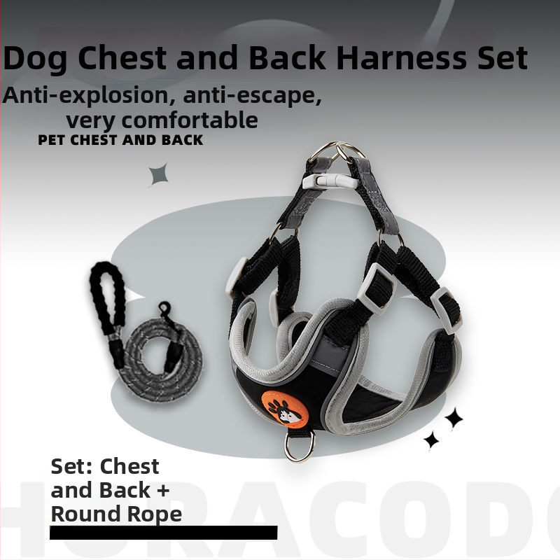 Schnauzer mellény-stílusú visszahúzható kutyapóráz