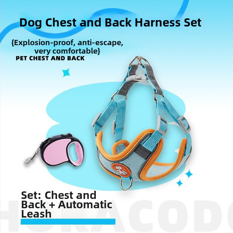 Schnauzer mellény-stílusú visszahúzható kutyapóráz