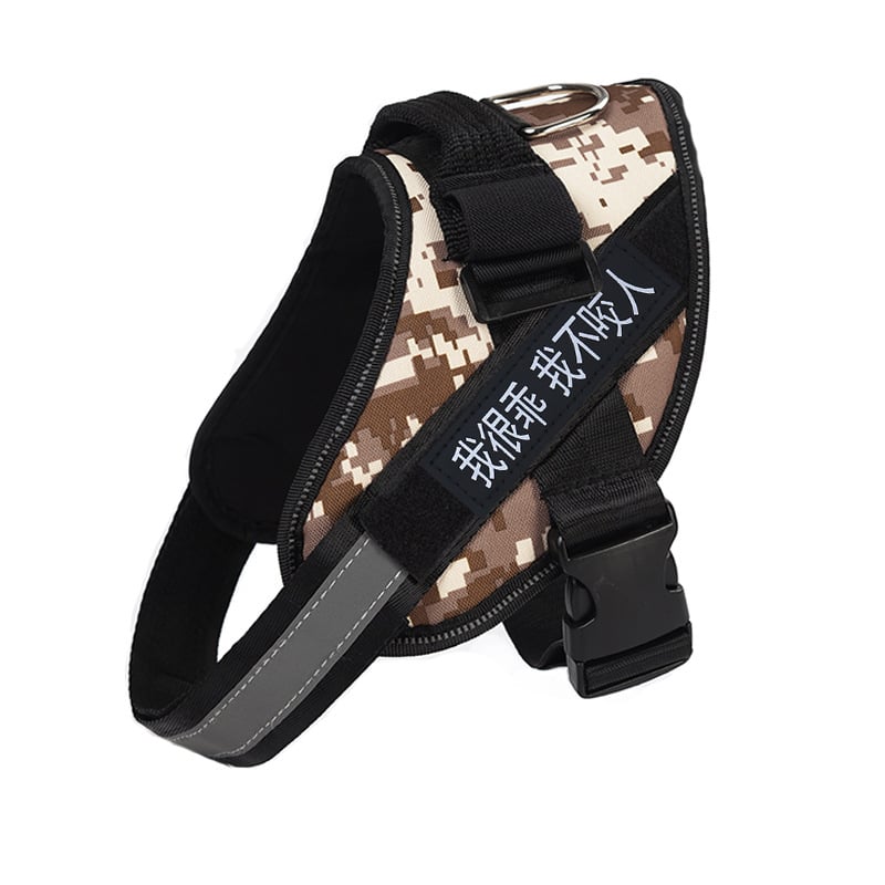 Kutyahám és póráz Oxford anyagból – mellkasi heveder, fényvisszaverő szalag, K9 sétahám stílus