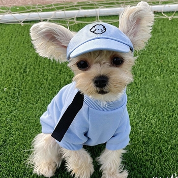 Šunų kepurė – baseball kepurė su siuvinėjimu, medžiaga plastikas, Twill audinys, stilius Japonija ir Pietų Korėja, tinkama visoms keturioms sezonams