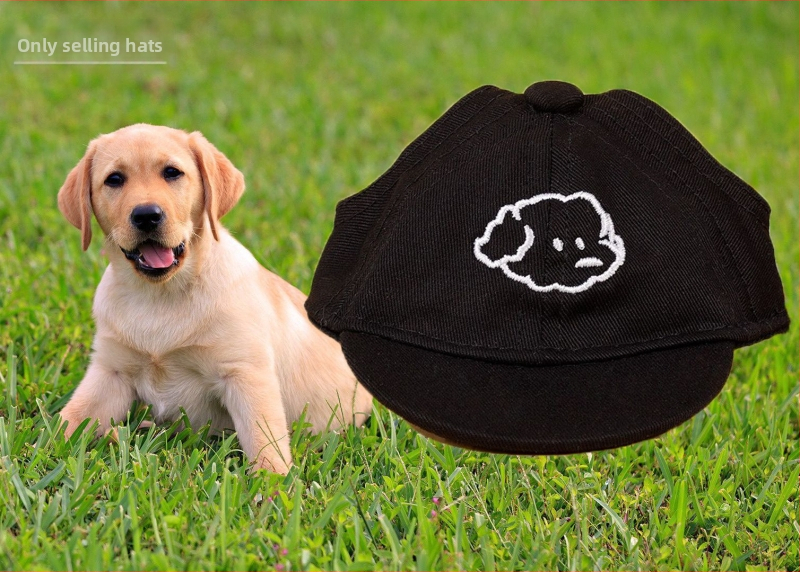 Šunų kepurė – baseball kepurė su siuvinėjimu, medžiaga plastikas, Twill audinys, stilius Japonija ir Pietų Korėja, tinkama visoms keturioms sezonams