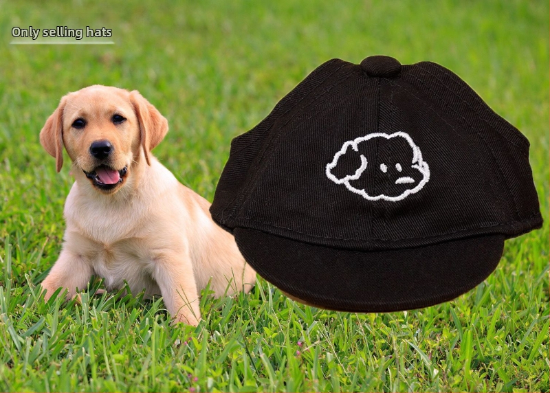 Šunų kepurė – baseball kepurė su siuvinėjimu, medžiaga plastikas, Twill audinys, stilius Japonija ir Pietų Korėja, tinkama visoms keturioms sezonams