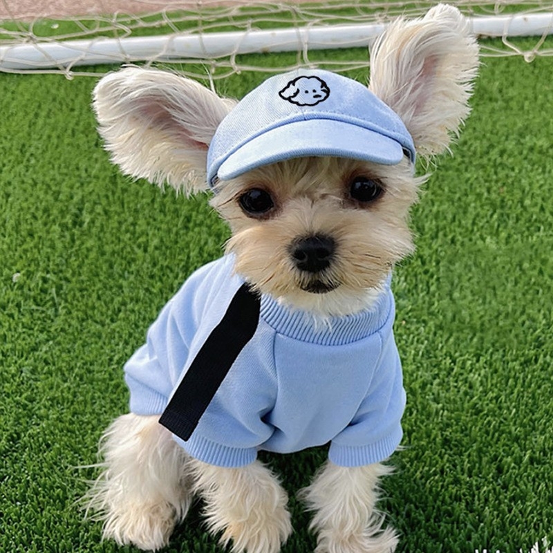 Šunų kepurė – baseball kepurė su siuvinėjimu, medžiaga plastikas, Twill audinys, stilius Japonija ir Pietų Korėja, tinkama visoms keturioms sezonams