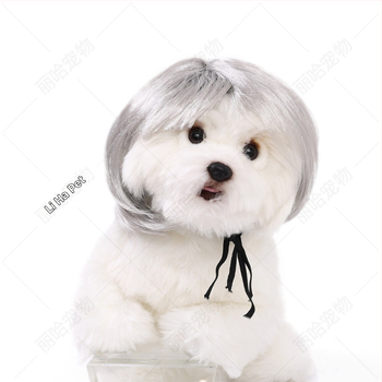 Liha Perucă pentru animale de companie (pisici și câini), stil desen animat, material: sârmă rezistentă la temperaturi înalte, utilizare universală