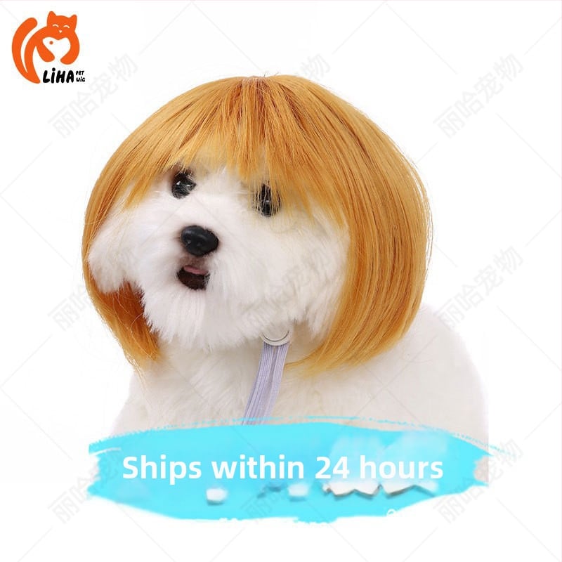 Liha Perucă pentru animale de companie (pisici și câini), stil desen animat, material: sârmă rezistentă la temperaturi înalte, utilizare universală