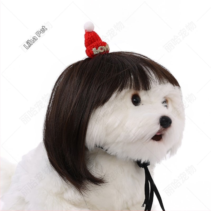 Liha Perucă pentru animale de companie (pisici și câini), stil desen animat, material: sârmă rezistentă la temperaturi înalte, utilizare universală
