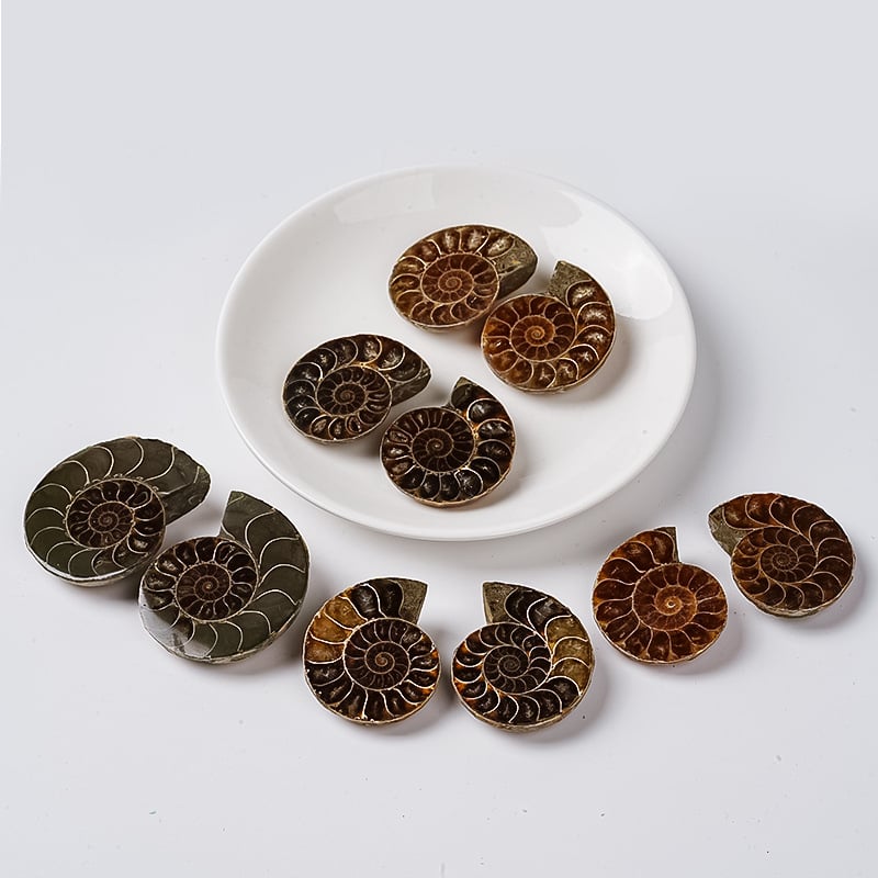 Felie de concha fosilizată — pandantiv geometric din cristal, Polymer Jewelry