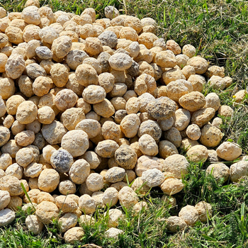 Kristāla ala minerālu paraugs: neapstrādāts akmens, dekoratīvs minerālu paraugs, dabīgs kristāls