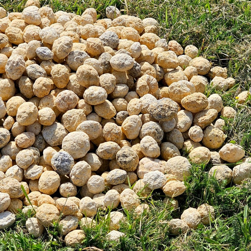 Kristāla ala minerālu paraugs: neapstrādāts akmens, dekoratīvs minerālu paraugs, dabīgs kristāls