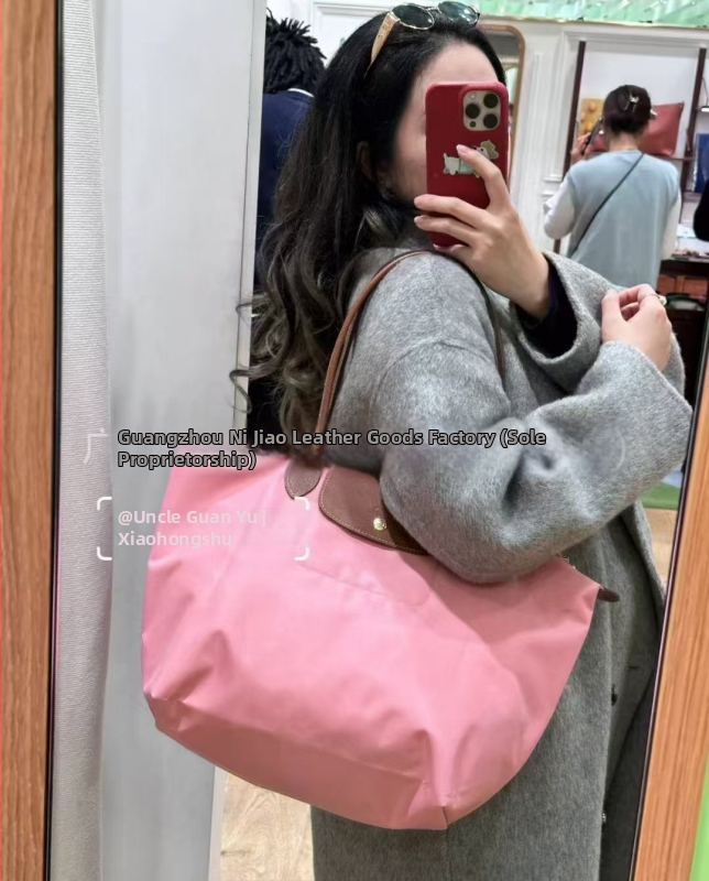 Nailoninė dumpling rankinė su dangteliu — miesto paprastas stilius, vidinės kišenės telefonui ir ID, be peties dirželio