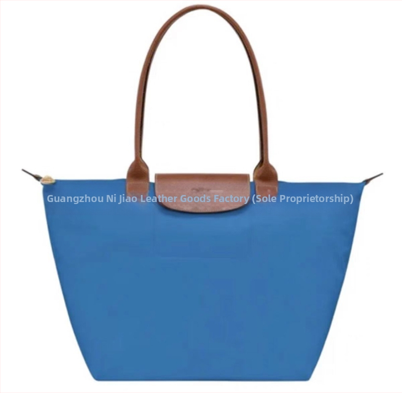 Nailoninė dumpling rankinė su dangteliu — miesto paprastas stilius, vidinės kišenės telefonui ir ID, be peties dirželio