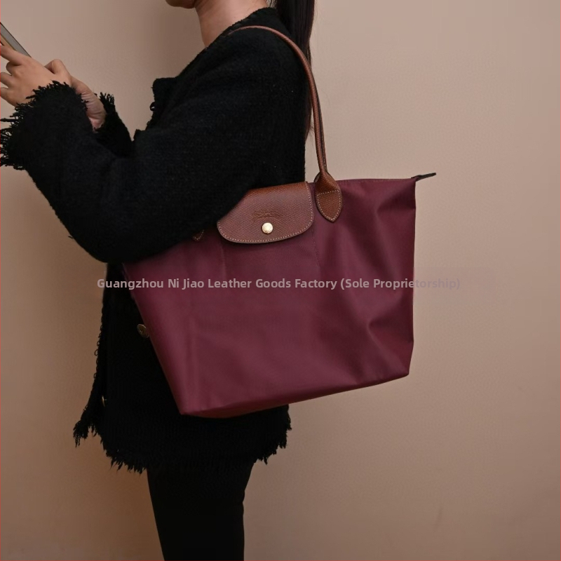 Nailoninė dumpling rankinė su dangteliu — miesto paprastas stilius, vidinės kišenės telefonui ir ID, be peties dirželio