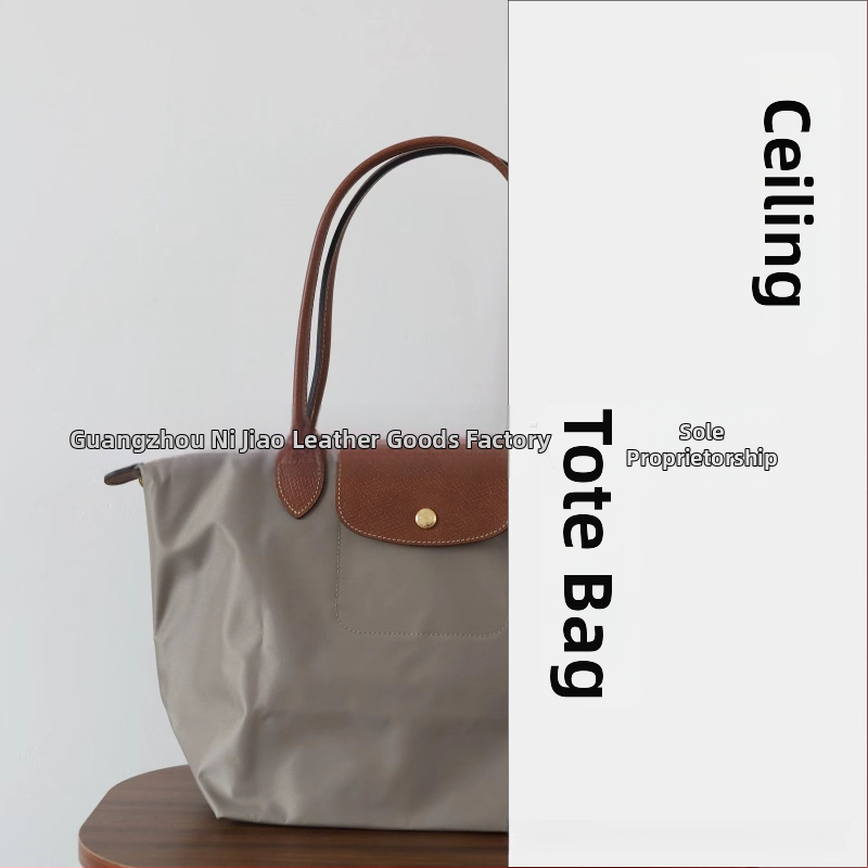 Nailoninė dumpling rankinė su dangteliu — miesto paprastas stilius, vidinės kišenės telefonui ir ID, be peties dirželio