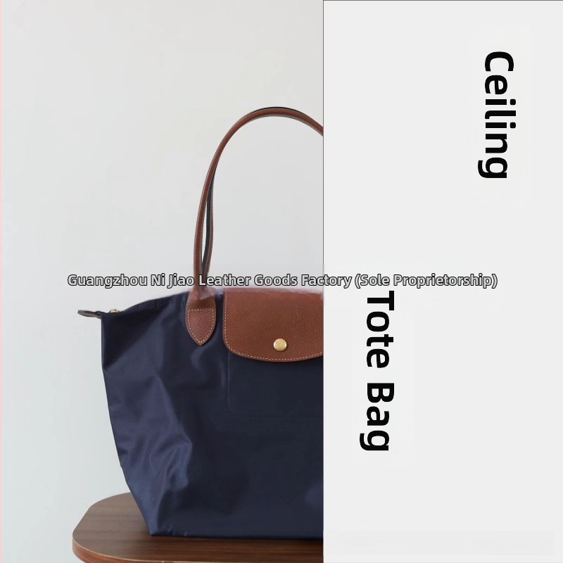 Nailoninė dumpling rankinė su dangteliu — miesto paprastas stilius, vidinės kišenės telefonui ir ID, be peties dirželio