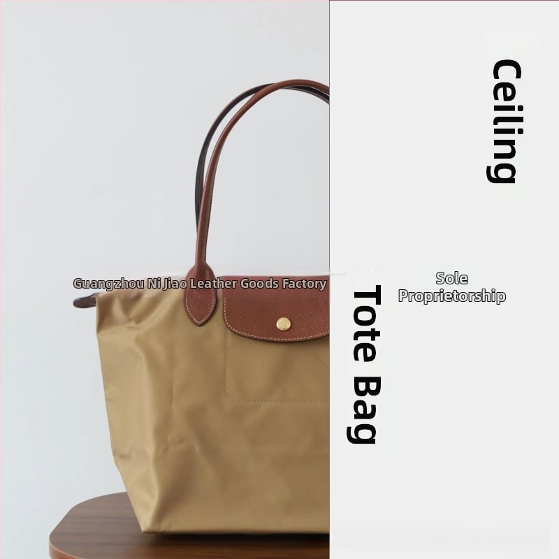 Nailoninė dumpling rankinė su dangteliu — miesto paprastas stilius, vidinės kišenės telefonui ir ID, be peties dirželio