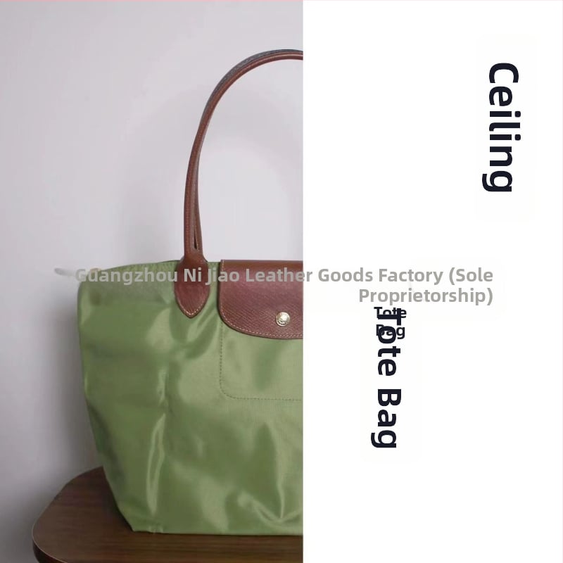 Nailoninė dumpling rankinė su dangteliu — miesto paprastas stilius, vidinės kišenės telefonui ir ID, be peties dirželio