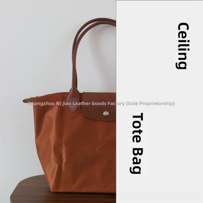 Nailoninė dumpling rankinė su dangteliu — miesto paprastas stilius, vidinės kišenės telefonui ir ID, be peties dirželio