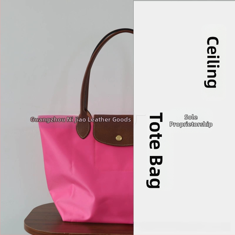 Nailoninė dumpling rankinė su dangteliu — miesto paprastas stilius, vidinės kišenės telefonui ir ID, be peties dirželio