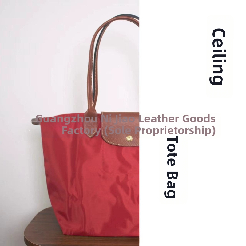 Nailoninė dumpling rankinė su dangteliu — miesto paprastas stilius, vidinės kišenės telefonui ir ID, be peties dirželio