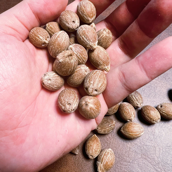 Brățară Bodhi din mărgele, stil retro, unisex; material Bodhi; design geometric; netratat