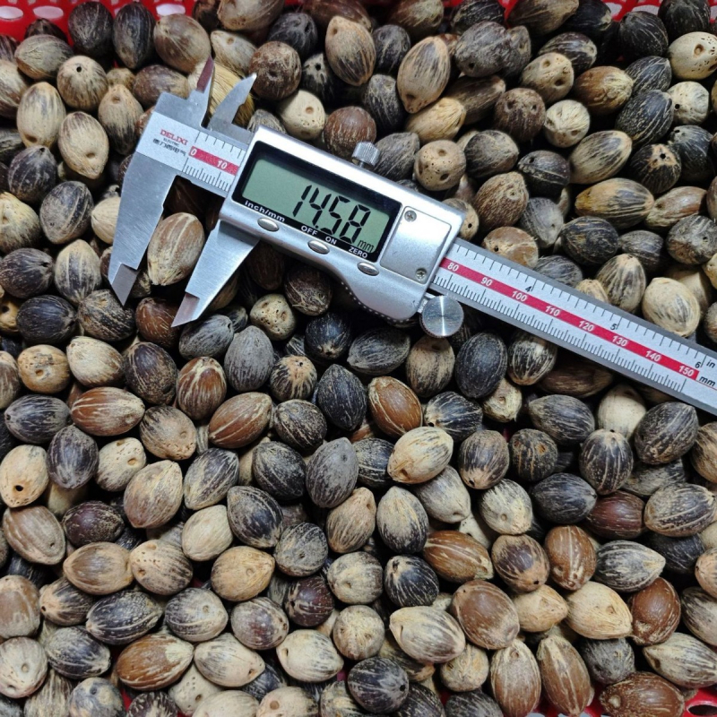 Brățară Bodhi din mărgele, stil retro, unisex; material Bodhi; design geometric; netratat