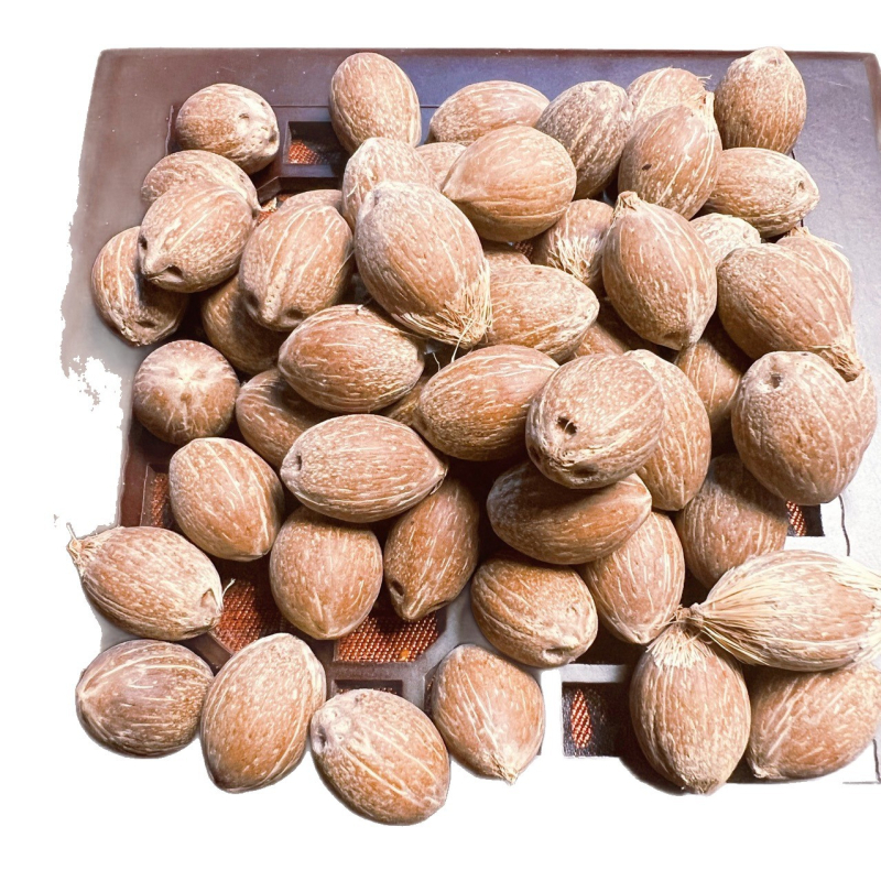 Brățară Bodhi din mărgele, stil retro, unisex; material Bodhi; design geometric; netratat