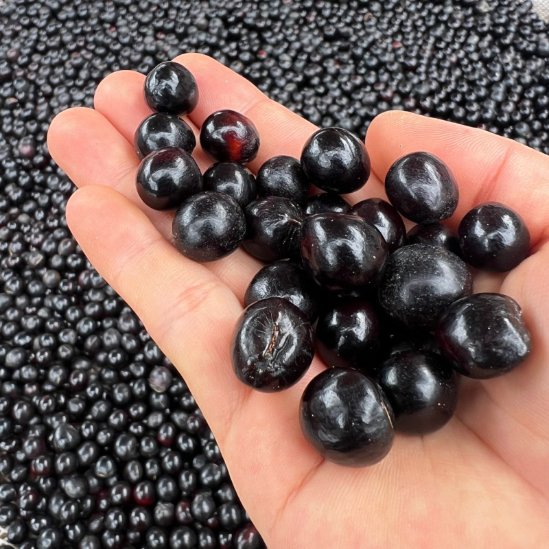 Mărgele Bodhi din săpun (Soapberry), stil etnic, 108 mărgele, manufactură naturală și semi-manuală, toamna 2025