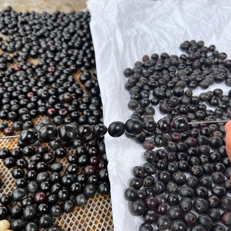 Mărgele Bodhi din săpun (Soapberry), stil etnic, 108 mărgele, manufactură naturală și semi-manuală, toamna 2025