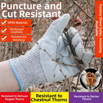 HPPE pirštinės su įpjovimų atsparumu – Lygis 5, Įpjovimų atsparumas, Neslysta, Skirta virtuvei ir sodininkystei, Svoris 75