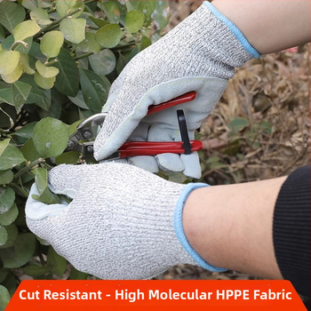 HPPE pirštinės su įpjovimų atsparumu – Lygis 5, Įpjovimų atsparumas, Neslysta, Skirta virtuvei ir sodininkystei, Svoris 75