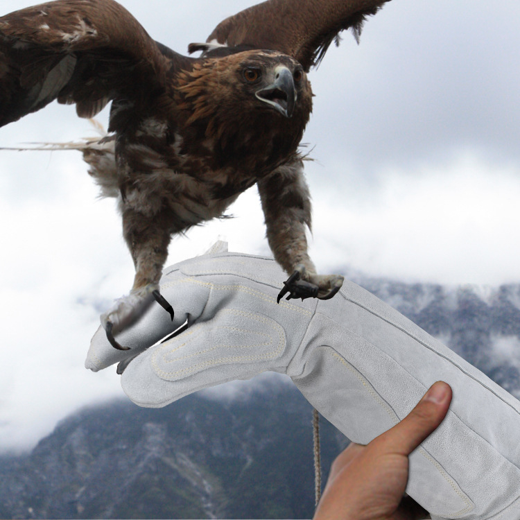 Kutyavédő kesztyű béléses marhabőrből, megerősített, anti-kutya harapás és kígyó harapás ellen, edzéshez és mentéshez (Anyag: marhabőr; Bélés; Megerősített; Tömeg: 1000 g)