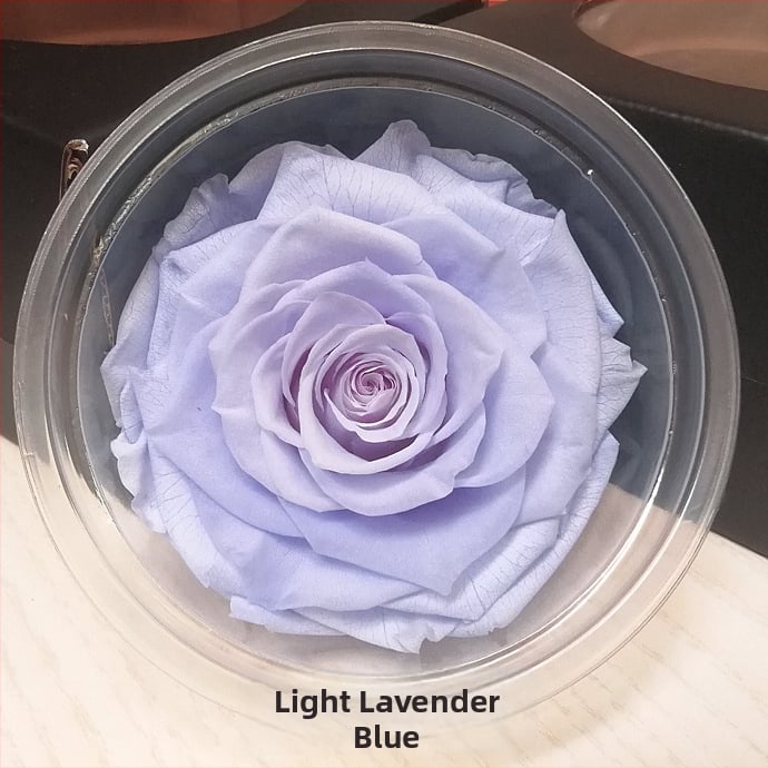 Trandafir din flori veșnice – Li Jin Yongsheng Flower, 1 floare în cutie, Material: flori veșnice; Varietate: Trandafir; Clasă: B