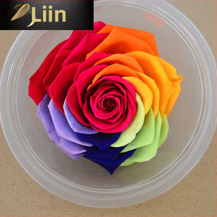 Trandafir din flori veșnice – Li Jin Yongsheng Flower, 1 floare în cutie, Material: flori veșnice; Varietate: Trandafir; Clasă: B