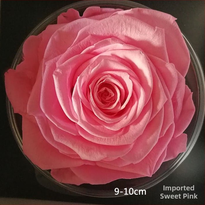 Trandafir din flori veșnice – Li Jin Yongsheng Flower, 1 floare în cutie, Material: flori veșnice; Varietate: Trandafir; Clasă: B