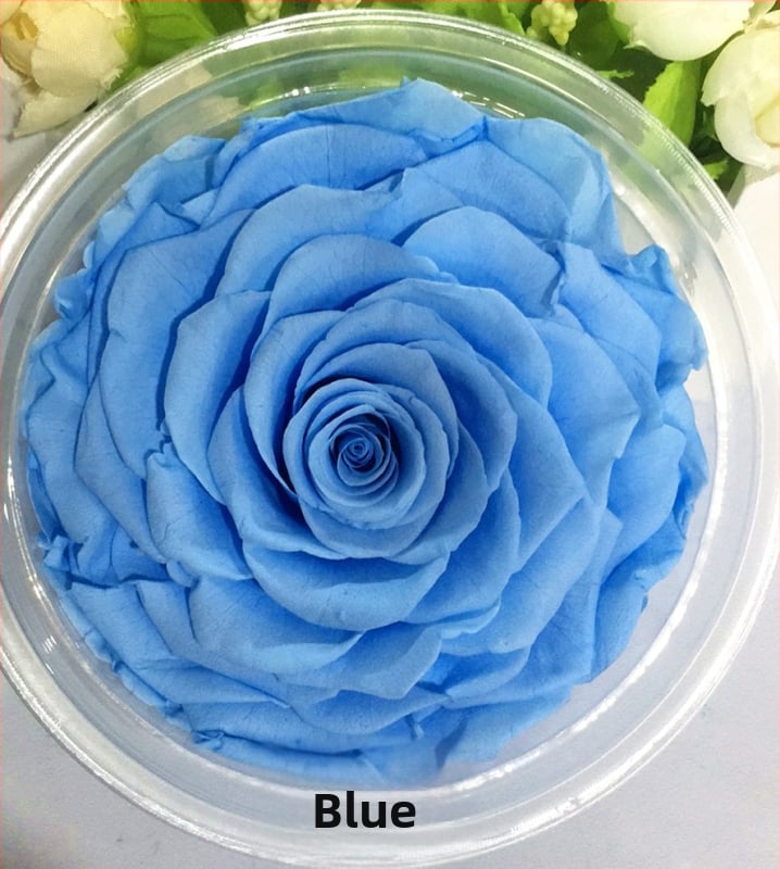 Trandafir din flori veșnice – Li Jin Yongsheng Flower, 1 floare în cutie, Material: flori veșnice; Varietate: Trandafir; Clasă: B