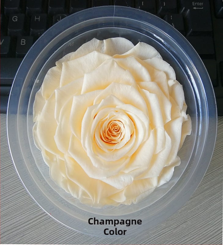 Trandafir din flori veșnice – Li Jin Yongsheng Flower, 1 floare în cutie, Material: flori veșnice; Varietate: Trandafir; Clasă: B