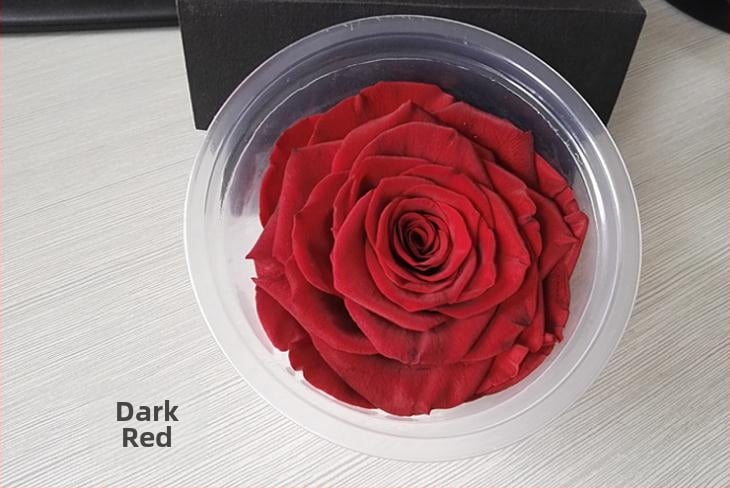 Trandafir din flori veșnice – Li Jin Yongsheng Flower, 1 floare în cutie, Material: flori veșnice; Varietate: Trandafir; Clasă: B