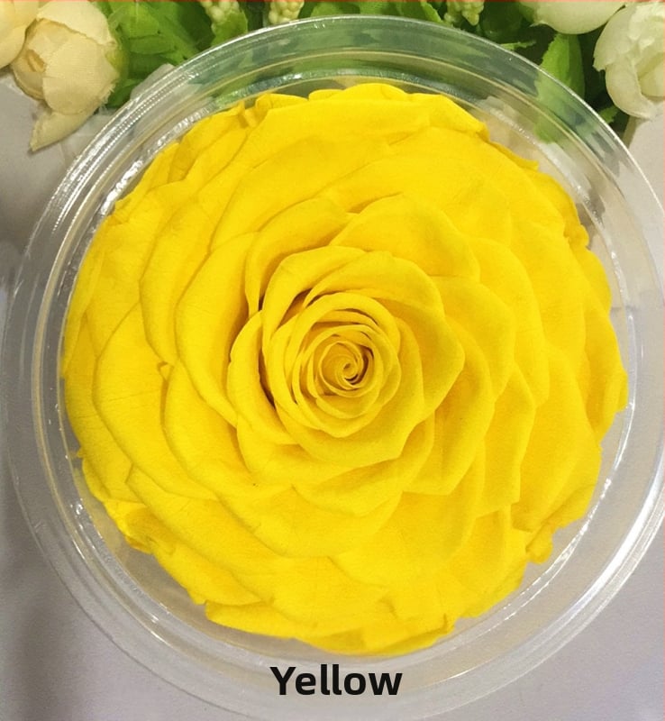 Trandafir din flori veșnice – Li Jin Yongsheng Flower, 1 floare în cutie, Material: flori veșnice; Varietate: Trandafir; Clasă: B