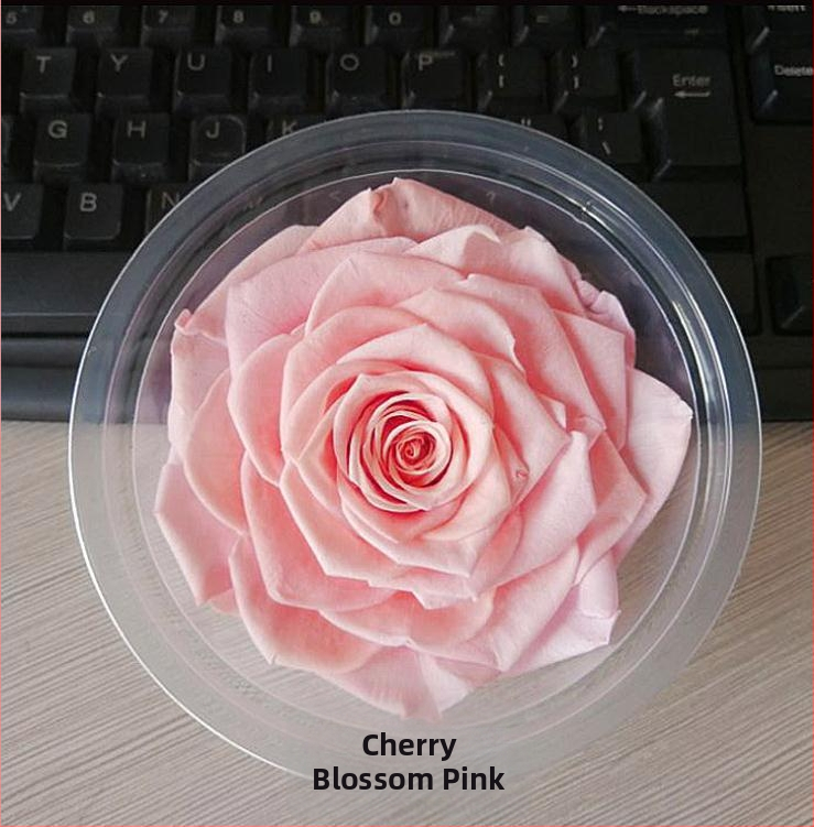 Trandafir din flori veșnice – Li Jin Yongsheng Flower, 1 floare în cutie, Material: flori veșnice; Varietate: Trandafir; Clasă: B