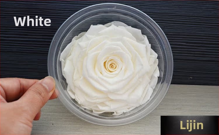 Trandafir din flori veșnice – Li Jin Yongsheng Flower, 1 floare în cutie, Material: flori veșnice; Varietate: Trandafir; Clasă: B