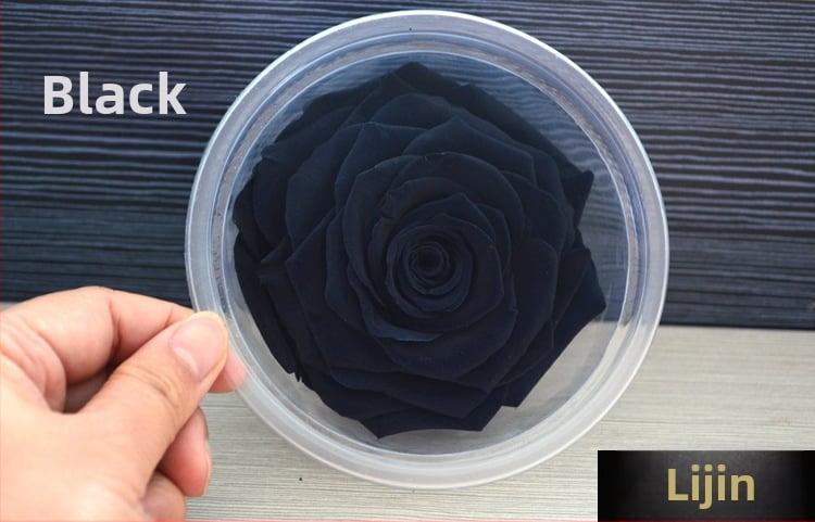 Trandafir din flori veșnice – Li Jin Yongsheng Flower, 1 floare în cutie, Material: flori veșnice; Varietate: Trandafir; Clasă: B