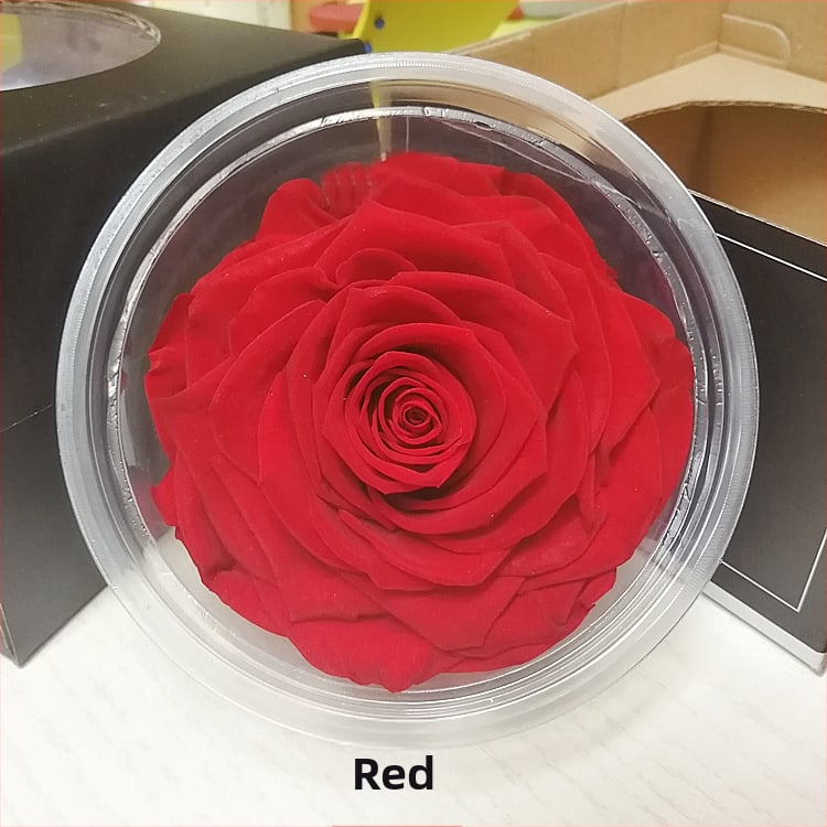 Trandafir din flori veșnice – Li Jin Yongsheng Flower, 1 floare în cutie, Material: flori veșnice; Varietate: Trandafir; Clasă: B