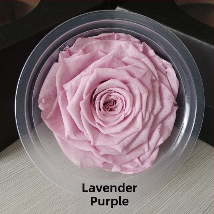 Trandafir din flori veșnice – Li Jin Yongsheng Flower, 1 floare în cutie, Material: flori veșnice; Varietate: Trandafir; Clasă: B